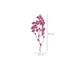 Plantas Secas Bougainville - Rosa Escuro, Rosa Escuro | WestwingNow
