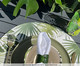 Lugar Americano em Linho com Bordado Mille Foglio Branco, Branco | WestwingNow