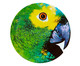 Sousplat em Porcelana Olhar O Brasil Papagaio, Colorido | WestwingNow