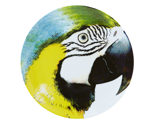 Sousplat em Porcelana Olhar O Brasil Arara Barriga Amarela, Colorido | WestwingNow