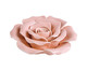 Adorno Lê em Cerâmica - Rosa, Colorido | WestwingNow