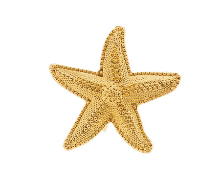 Jogo de Anéis para Guardanapos Estrela do Mar Dourado | WestwingNow