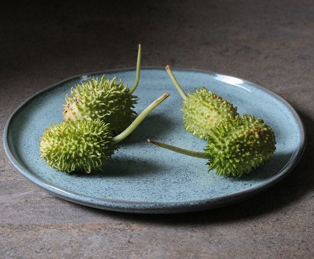 Jogo de Pratos Raso Bio Breeze Azul Claro | Westwing