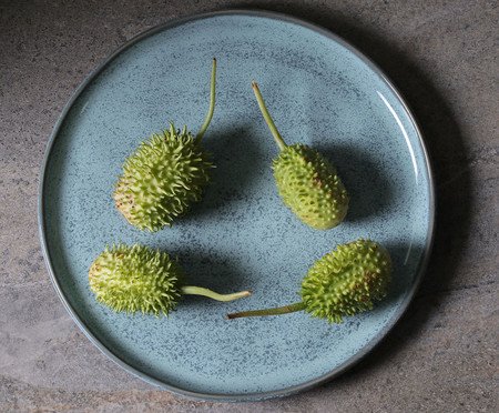 Jogo de Pratos Raso Bio Breeze Azul Claro | Westwing