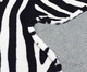 Tapete Animal Print Zebra - Preto, Preto | WestwingNow