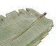 Prato Decorativo Banana Leaf Botanical Verde, Colorido | WestwingNow