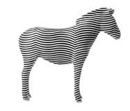 Adorno Zebra - Preto | WestwingNow
