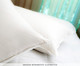 Travesseiro com Penas e Plumas de Ganso Evera Blu 233 Fios, Branco | WestwingNow