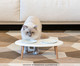Jogo Comedouro Elevado Duplo com Pratinhos em Porcelana O Gato Design, Colorido | WestwingNow