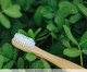 Escova de Dentes Bamboo Adulto Branco, Colorido | WestwingNow