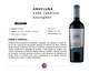 Vinho Argentino Andeluna 1300 Cabernet Sauvignon Rubi, Colorido | WestwingNow