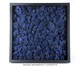 Quadro com Musgo Natural Azul, Azul | WestwingNow