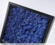 Quadro com Musgo Natural Azul, Azul | WestwingNow