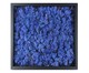 Quadro com Musgo Natural Azul, Azul | WestwingNow