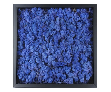 Quadro com Musgo Natural Azul