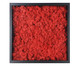 Quadro com Musgo Natural Vermelho, Colorido | WestwingNow