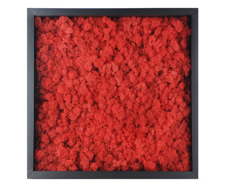 Quadro com Musgo Natural Vermelho