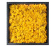 Quadro com Musgo Natural Amarelo, Amarelo | WestwingNow