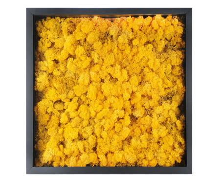 Quadro com Musgo Natural Amarelo