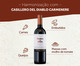 Vinho Chileno Casillero Del Diablo Carmenere, Transparente | WestwingNow