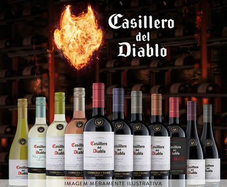 Vinho Chileno Casillero Del Diablo Carmenere | Westwing