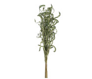 Planta Permanente Cabelo de Anjo Verde | WestwingNow