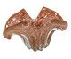 Vaso com Dour Samandira Chocolate, Marrom | WestwingNow