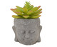 Vaso Buda Rústico com Planta, multicolor | WestwingNow