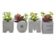 Jogo de Adornos Home Rústico com Planta, multicolor | WestwingNow