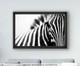 Quadro com Vidro Zebra, Preto | WestwingNow