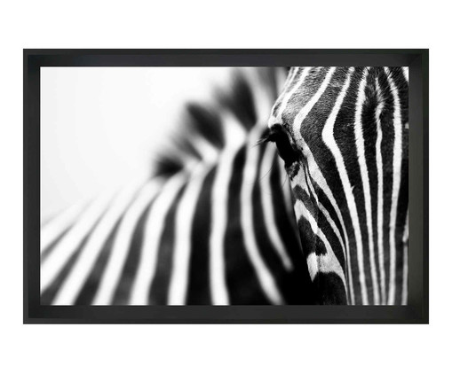 Quadro com Vidro Zebra, Preto | WestwingNow