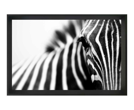 Quadro com Vidro Zebra | WestwingNow