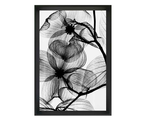 Quadro flor raio-x  Concepcion, Preto | WestwingNow