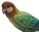 Adorno Bird Colorido, Colorido | WestwingNow