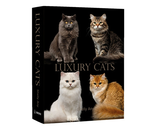 Book Box Luxury Cats - Preto, Colorido | WestwingNow