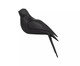 Adorno Oiseau Pássaro Lado Direito, Preto | WestwingNow