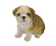 Cachorro Decorativo Shu Marrom e Dourado, MARROM/BRANCO | WestwingNow