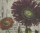 Capa de Almofada Sunflower, Colorido | WestwingNow