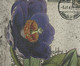 Capa de Almofada Tulip, Colorido | WestwingNow