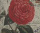 Capa de Almofada Flower, Colorido | WestwingNow