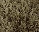 Tapete Tufting Confort N Concreto, verde | WestwingNow