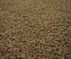 Tapete Debrum Tufting Clemant Nori Castor, marrom | WestwingNow