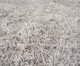 Tapete Galax Platina, Cinza | WestwingNow