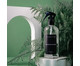 Home Spray Folhas de Pinheiro, Transparente | WestwingNow