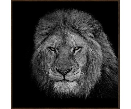 EYES OF NATURE (MD1082) - 60X60 60x60cm, colorido | WestwingNow