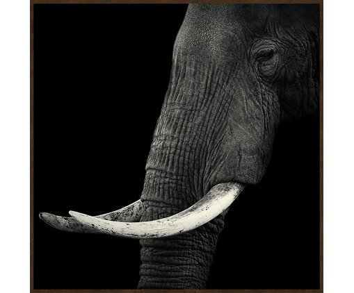 EYES OF NATURE (MD1082) - 60X60 60x60cm, colorido | WestwingNow