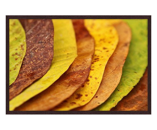 LINHA ARTSY - MD1316 - 43X63 43x63cm, colorido | WestwingNow