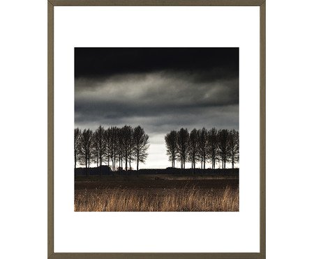 NATURE COLLECTION - MD1104 63x53cm | Westwing