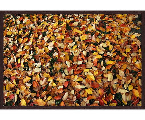 Quadro Bouki, colorido | WestwingNow