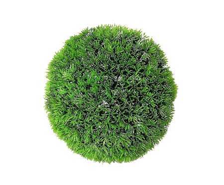 Planta Permanente Bola de Grama Pine Verde - 21cm | Westwing